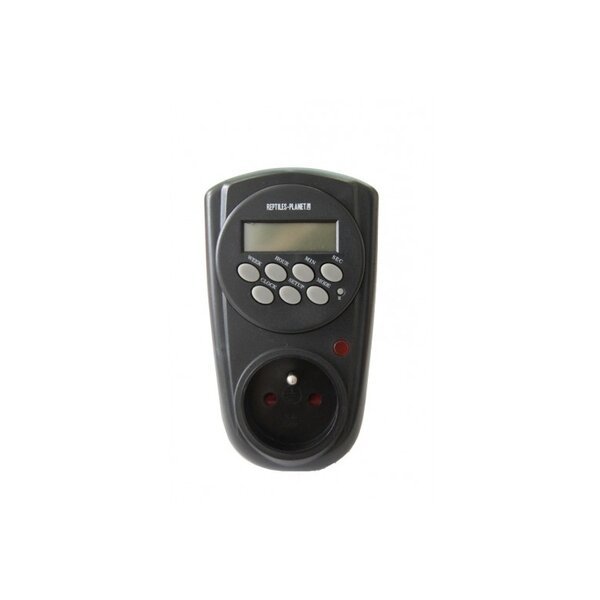 Rodene Timer REPTI EASY TIMER • Цена | Zoo Center
