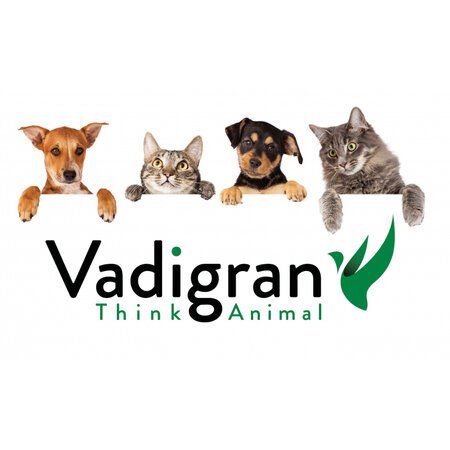 Vadigran - Белгия