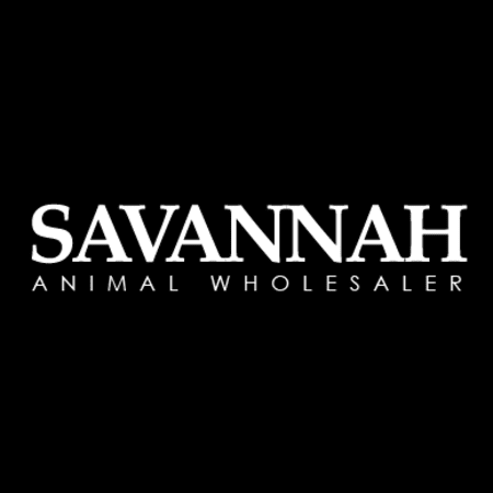 Savannah - Франция