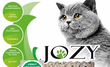 Jozy Cat